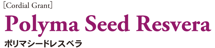 SILK GRAMINO:シルクグラミノ